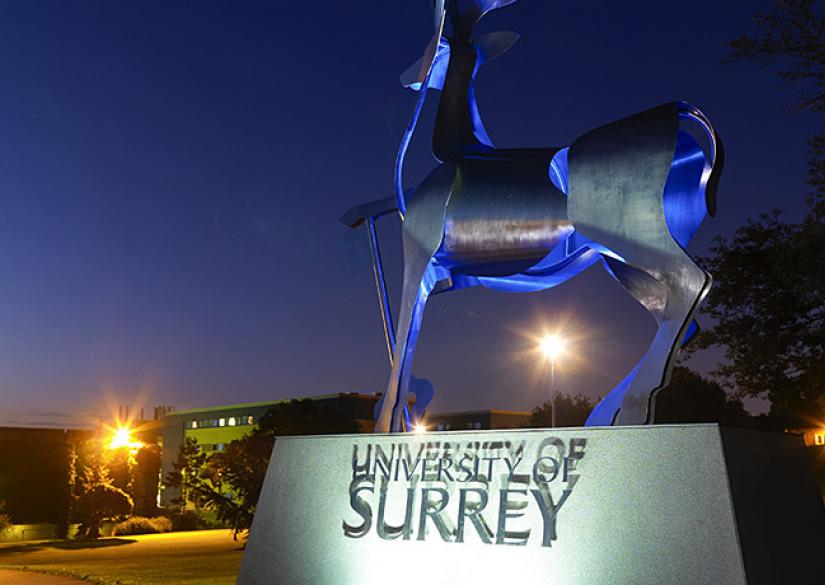 University of Surrey Университет Суррея University of Surrey 0
