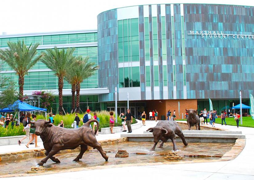 University of South Florida, Университет University of South Florida 1