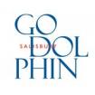 Лого Godolphin School Школа для девочек Godolphin School