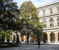 Венский медицинский университет (Medical University of Vienna)