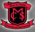 Лого Школа Monaghan Collegiate School
