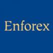 Лого Языковая школа Энфорекс Малага (Enforex Malaga)