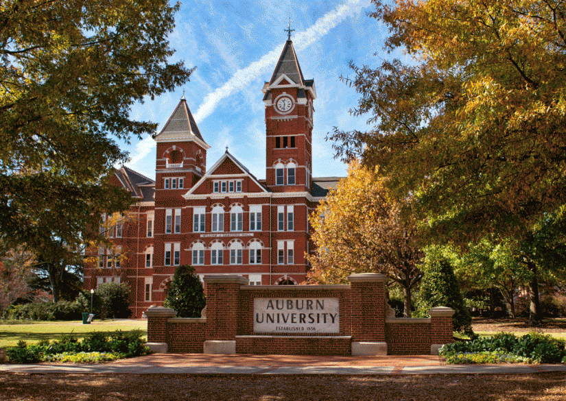 Auburn University (Обернский Университет) 0