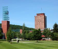 Binghamton University (BU) Университет Бингемтон