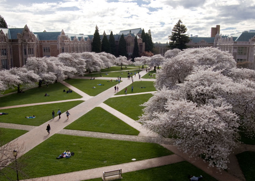 University of Washington (UW) Вашингтонский университет 1