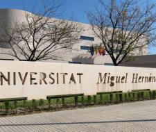 Universidad Miguel Hernández (UMH) Университет Мигеля Эрнандеса в Эльче