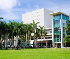 University of Miami Summer (летний академ лагерь при Университете Майами)