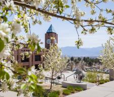 University of Colorado Colorado Springs (UCCS) Университет Колорадо Колорадо-Спрингс
