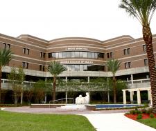 University of North Florida (UNF) Университет Северной Флориды