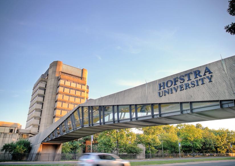 Hofstra University New York (университет Hofstra University) 0