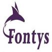 Лого Fontys University of Аpplied Sciences (Университет прикладных наук Фонтис)