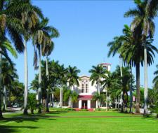 Barry University – Miami, FL (Университет Барри)