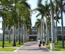 University of Miami IT Camp (Летний лагерь с IT, программированием)