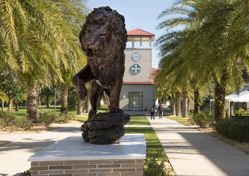 Saint Leo University Tampa Bay Университет Saint Leo University 0