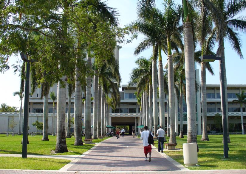 University of Miami IT Camp (Летний лагерь с IT, программированием) 0