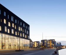 Aalborg Universitet, Ольборгский университет