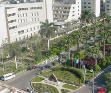 Mansoura University, Университет Мансура