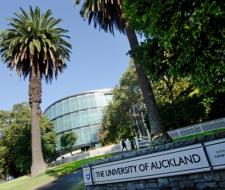 The University of Auckland, Университет Окленда