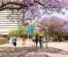 University of Pretoria, Университет Претории