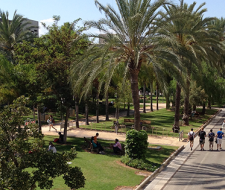 Polytechnic University of Valencia (UPV), Политехнический университет Валенсии