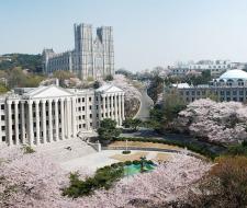 Kyung Hee University (KHU), Университет Кён-хи