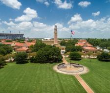 Louisiana State University — Baton Rouge, Университет штата Луизиана в Батон-Руже
