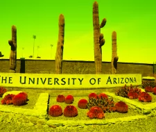 The University of Arizona, Аризонский университет