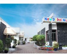 New Dubai Nursery, Частная подготовительная школа в Дубае