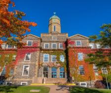 Dalhousie University, Halifax (Residential и Homestay), Летняя школа при Dalhousie University