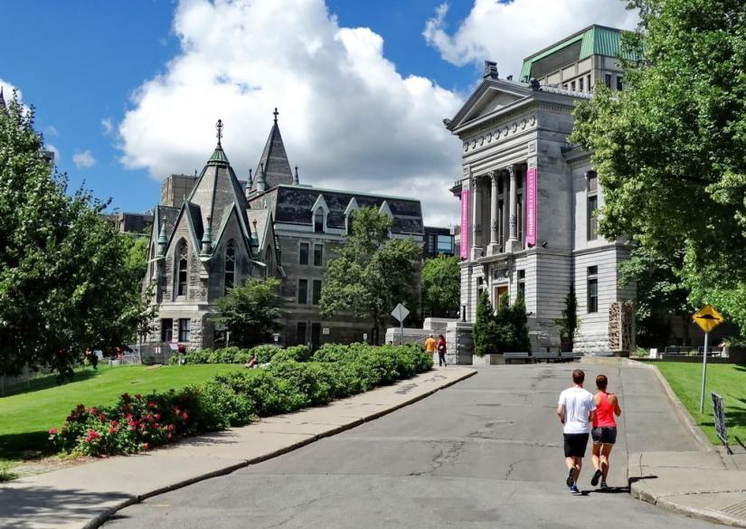 Montreal Summer School, Летняя школа McGill University 1