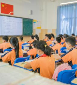 В Китае активно открываются «ночные школы». Чем они так привлекают китайскую молодежь?