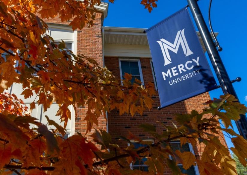 Mercy University, Университет Мерси 1