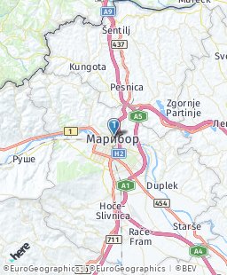 Словения на карте