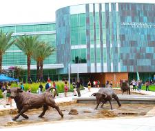 University of South Florida, Университет University of South Florida