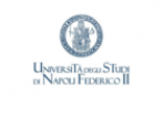 Лого University of Naples Federico II Университет Федерико II в Неаполе