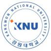 Лого Kangwon National University, Канвонский национальный университет 