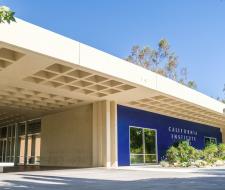 California Institute of the Arts, Калифорнийский институт искусств